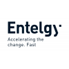 Entelgy Colombia Colombia Jobs Expertini